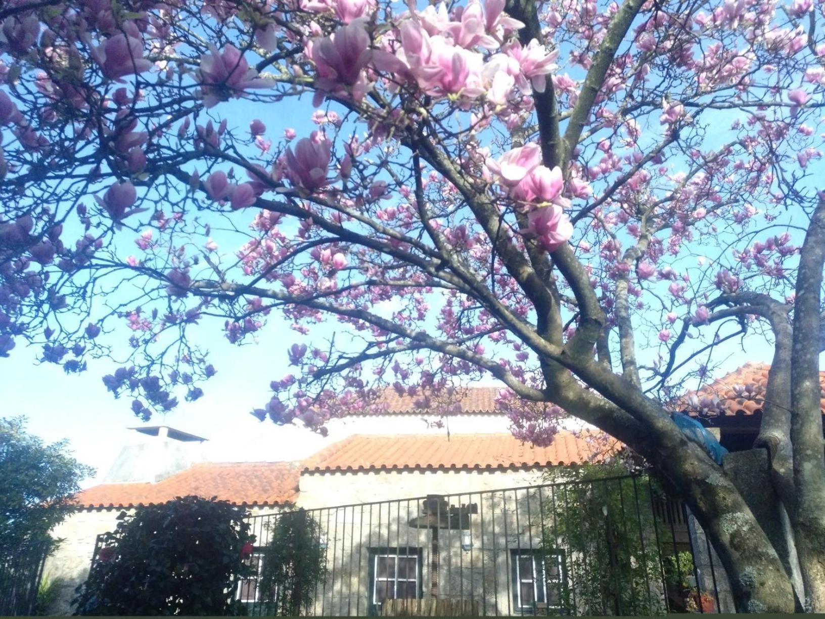 Sao Braz Terrace Βίλα Landim Εξωτερικό φωτογραφία